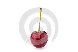 Cherry isolated on white, copy space