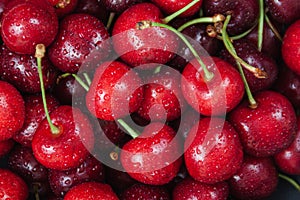 Cherry with leaf water drops.