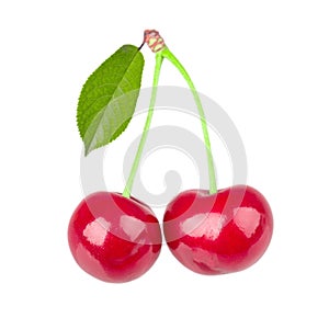 Cherry with leaves isolated on white background