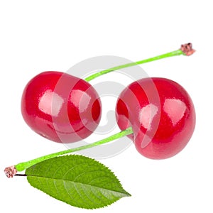 Cherry with leaves isolated on white background