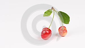 Cherry with leaves isolated on a white background. Side view. Shallow depth of field.