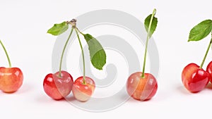 Cherry with leaves isolated on a white background. Side view. Shallow depth of field.