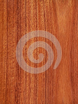 Cherry mahogany (wood texture) photo