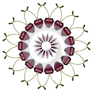 Cherry mandala