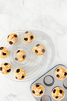 Cherry Muffins in Baking Form and on Cooling Rack over Marble Background with Copy Space