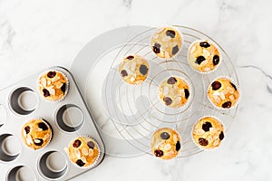 Cherry Muffins in Metal Baking Form and on Cooling Rack over White Marble