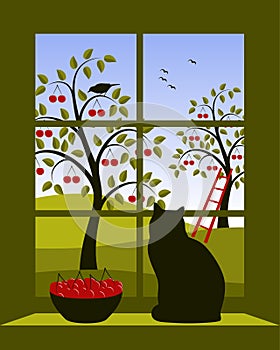 Cherry orchard outside window