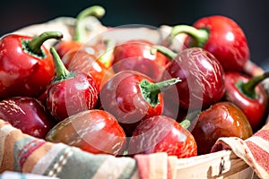 Cherry Pepper or Pimento