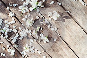Cherry petals and flowers on a wooden table on a Sunny day.