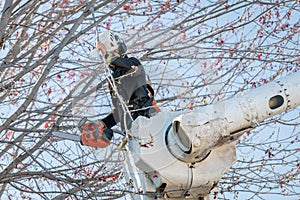 Cherry Picker bucket with an Arborist in it cutting with an electric chainsaw