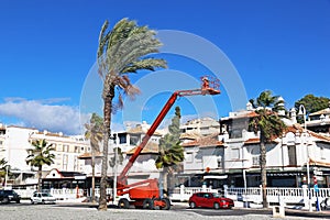 Cherry Picker working in La Herradura, Spain