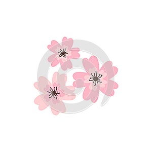 Cherry pink flower, spring sakura blossom vector icon set.