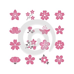 Cherry pink flower, spring sakura blossom vector icon set