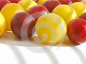 Cherry Plum photo