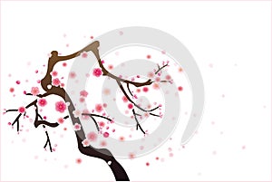 Cherry or plum blossom pattern