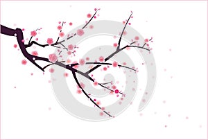 Cherry or plum blossom pattern photo