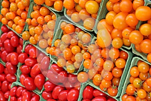Cherry and Plum Tomatoes at Market