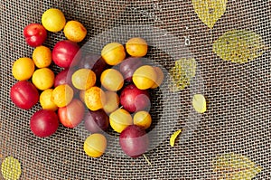 Cherry plums in the metallic tray, alycha fruit raw dessert colorful background texture