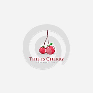 Cherry simple flat Logo
