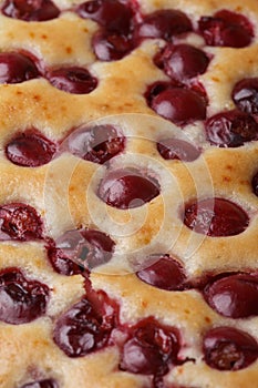 Cherry sponge closeup