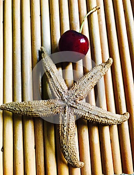Cherry and starfish on brown wooden art