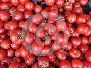 Cherry Tomaten hintergrund photo