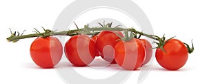 Cherry tomato photo