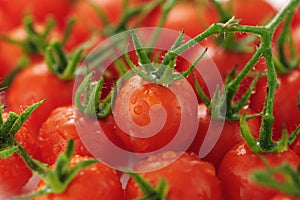 Cherry tomato