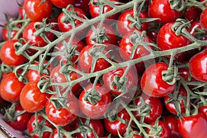 Cherry Tomato Background