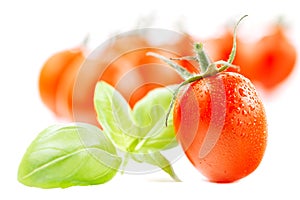Cherry tomato with basil leaves on white