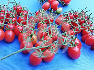 Cherry tomato on a blue background,cherry tomato studio photo