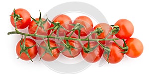 Cherry tomato branch isolated on white