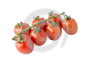 Cherry tomato bunch closeup isolated on white background