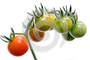 Cherry tomato cluster on white