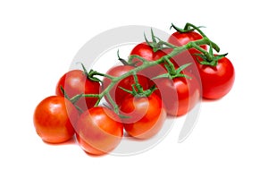 Cherry tomato-Solanum lycopersicum