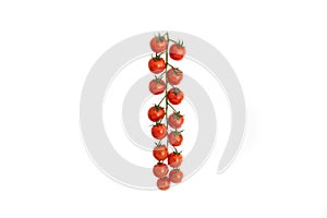 Cherry tomato vine with many red ripe tomatoes close up front view shot isolated on white