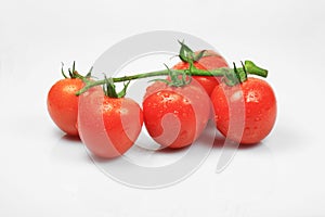 Cherry Tomato on White Background