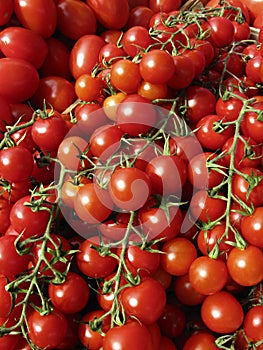 Cherry Tomatoes photo