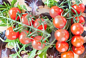 Cherry tomatoes on a background of salad leaves