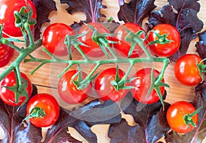 Cherry tomatoes on a background of salad leaves