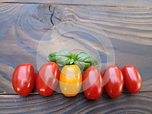 Cherry tomatoes and basil leaves in a spray of water on a wooden background. Selective focus. Local products consumption concept.