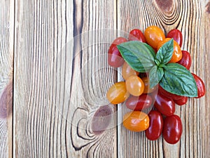 Cherry tomatoes and basil leaves on a wooden background. Selective focus.