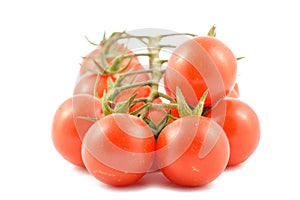 Cherry tomatoes on a branch