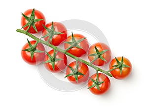 Cherry Tomatoes on Branch Isolated on White Background