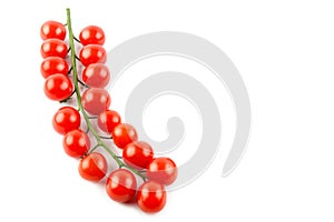 Cherry tomatoes on branch isolated on white background. Free space for text