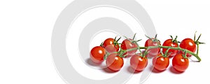 Cherry tomatoes branch isolated on white background . Red tomato. Tomatoes on a branch. Banner tomatoes. Isolated background.