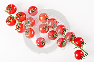 Cherry tomatoes on branch isolated on white background. Top view