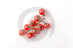 Cherry tomatoes on branch isolated on white background. Top view