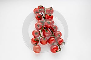 Cherry tomatoes on a branch, isolated on a white background. The view from the top. the concept of crop