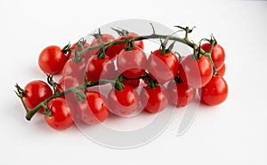 Cherry tomatoes on a branch, isolated on a white background. The view from the top. the concept of harvest. Space for your text